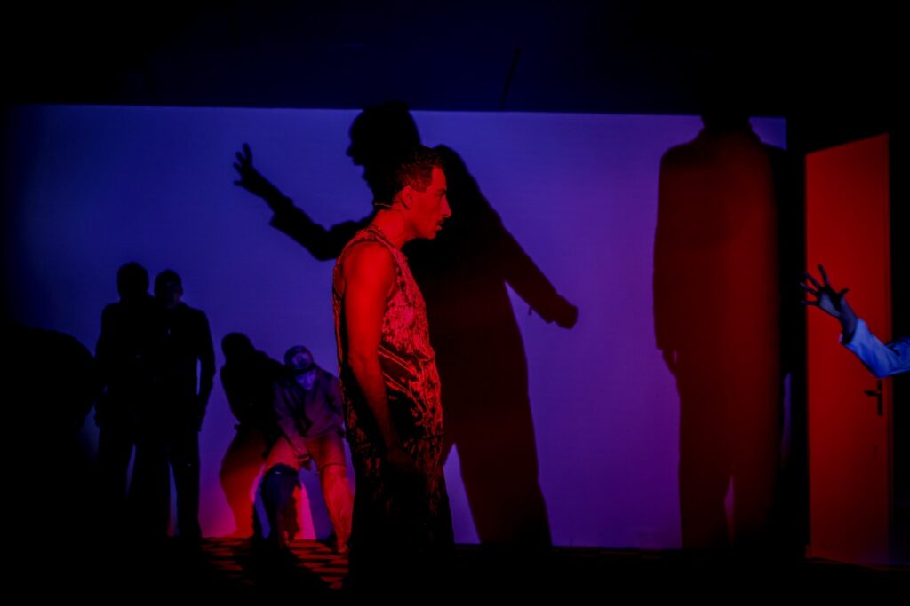 Shahrebazi performance with shadows in red and blue stage light